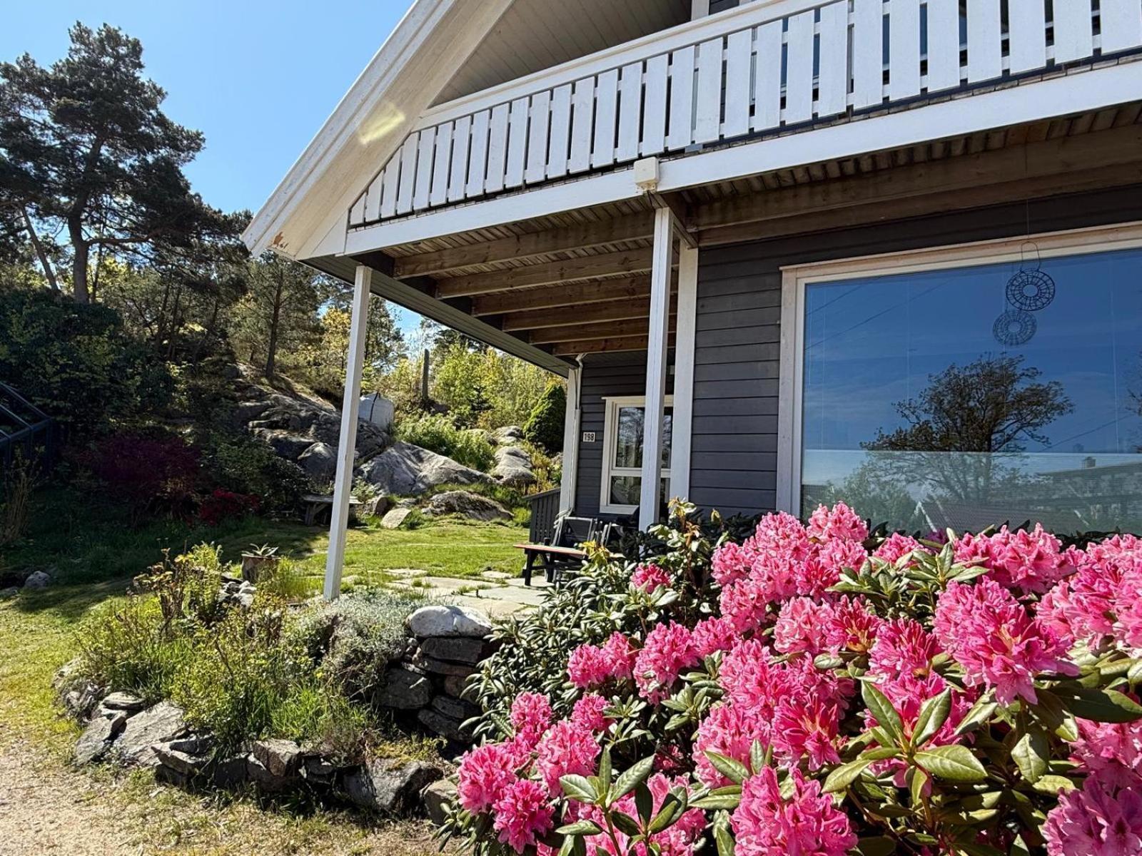 Skjult Perle Ved Havet